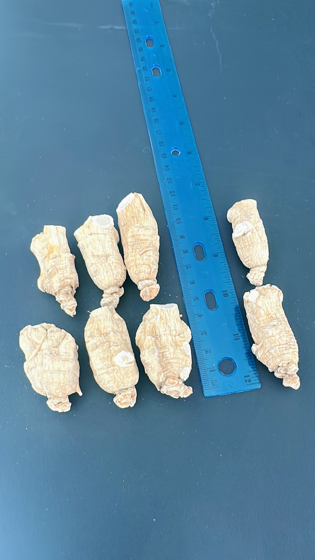 Canada Best Super Jumbo Ginseng 加拿大頂級花旗參大