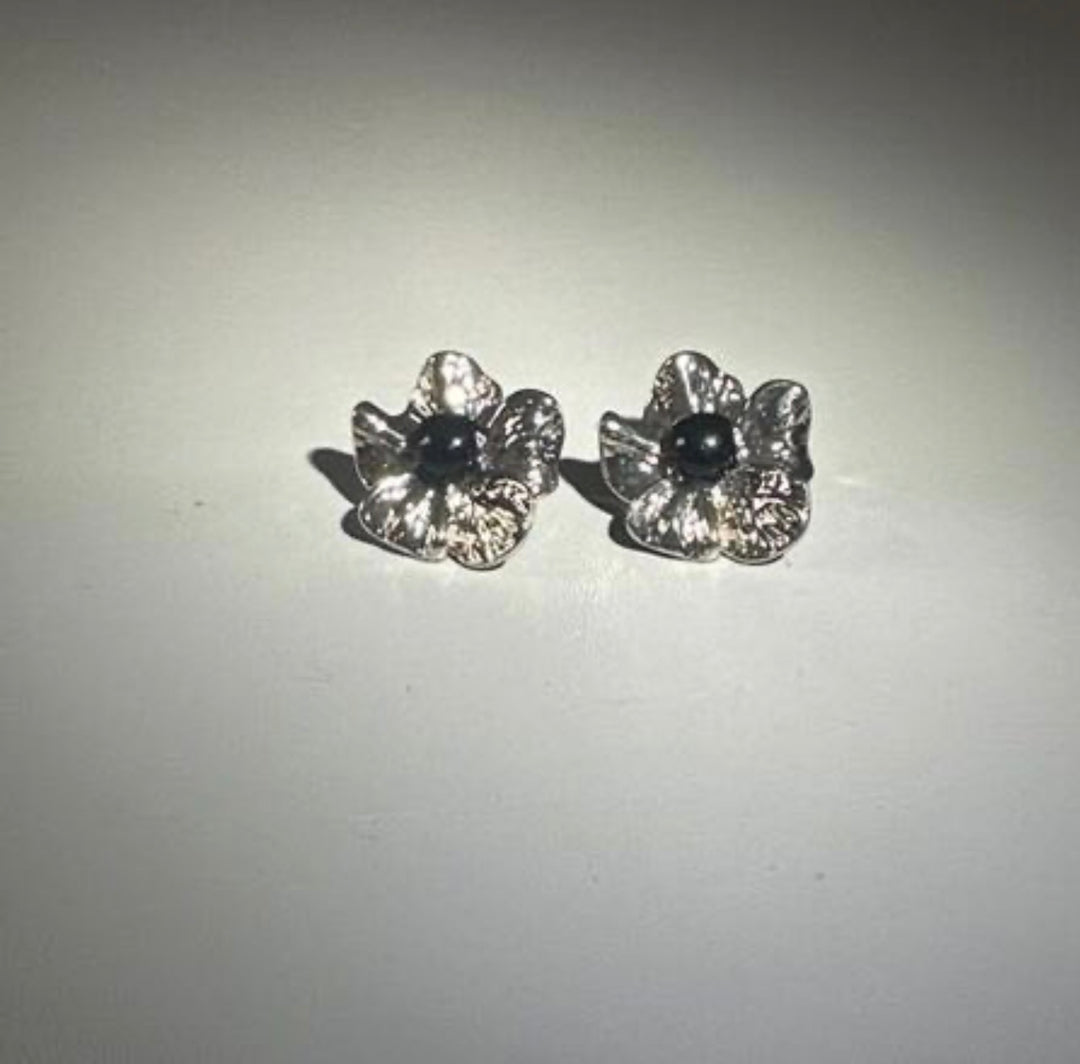 EV576