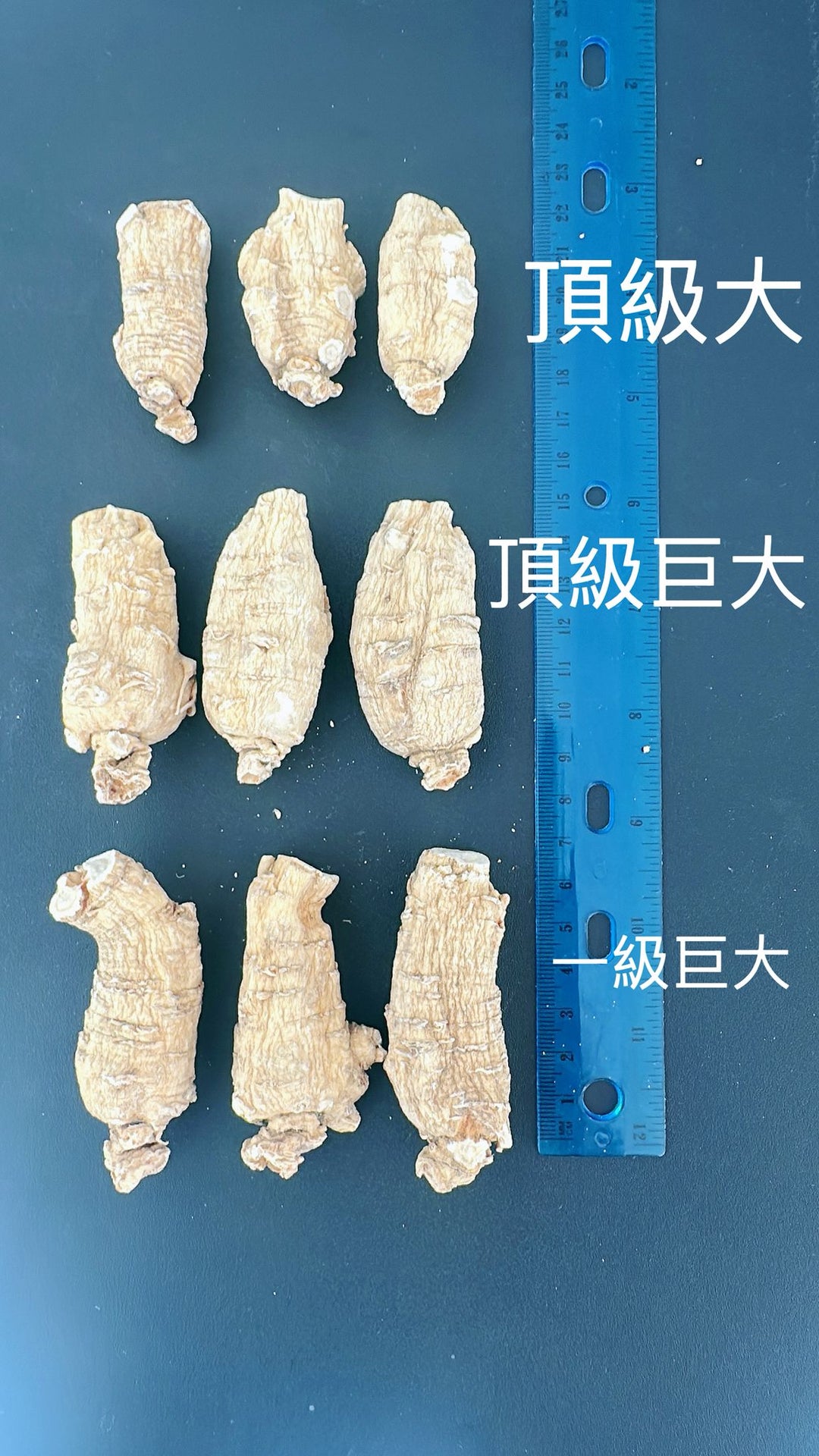 Canada Top and Best  Ginseng All in 1 加拿大頂級及一級花旗參 - 樣樣齊