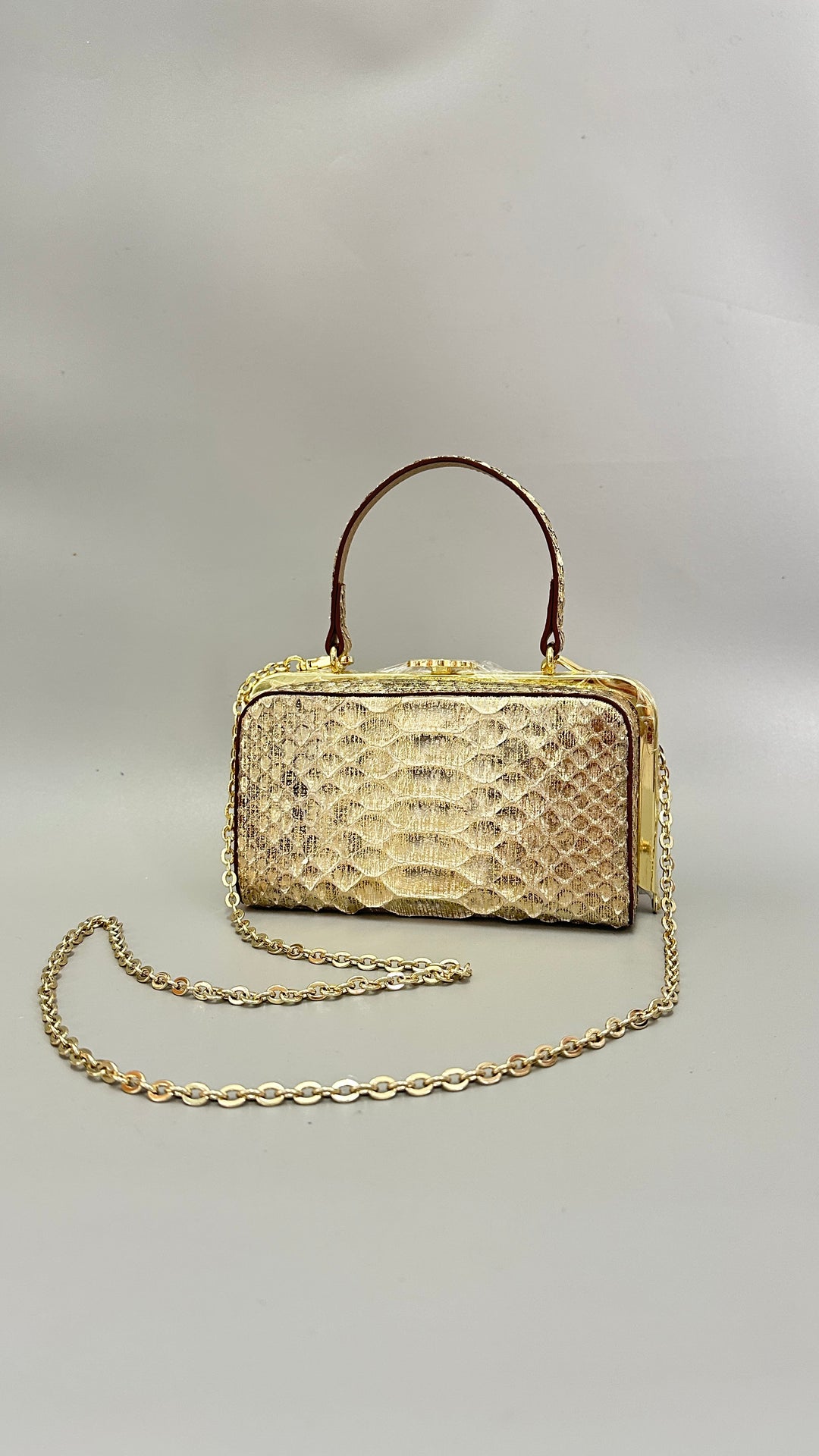Italy Handbag - SN14 蛇蛇